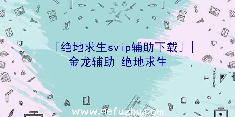 「绝地求生svip辅助下载」|金龙辅助